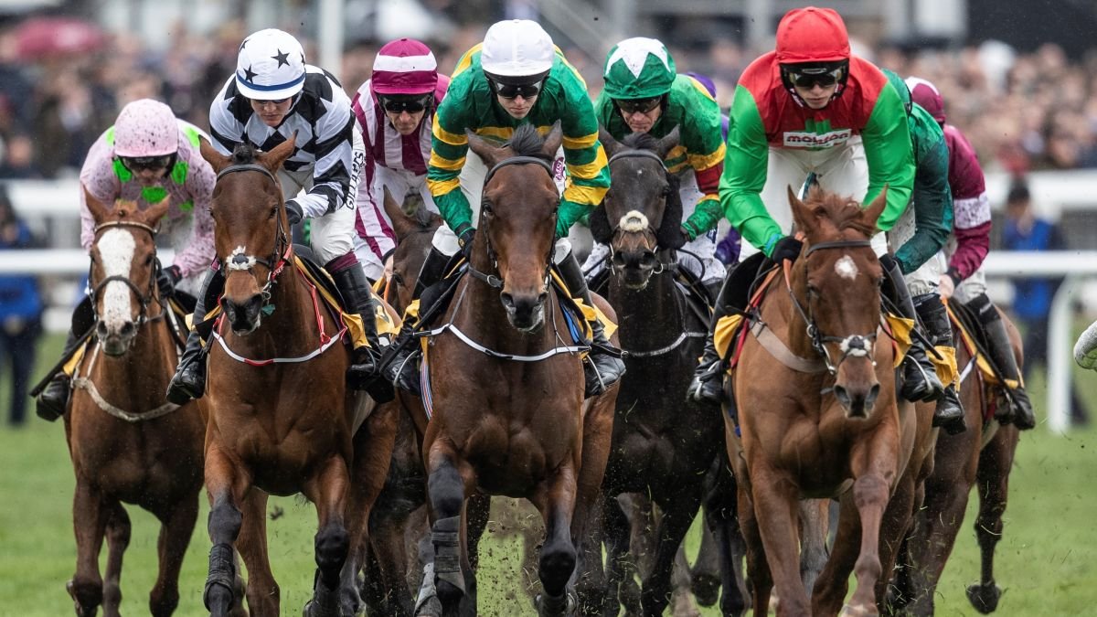 2020 Gold Cup - Watch Cheltenham Live Today From Anywhere