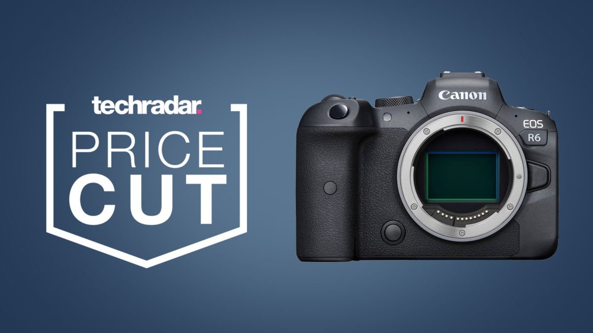 Offre instantanée: Canon EOS R6 pour un peu plus de 3500 AU € dans cette offre Black Friday