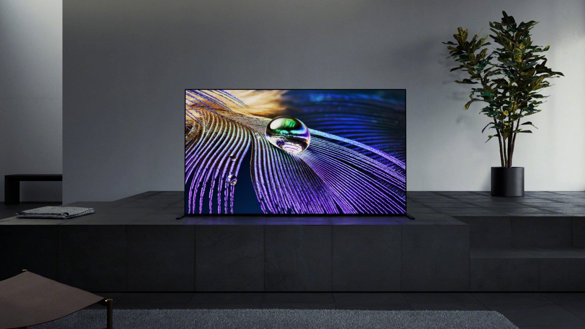 Telewizor OLED Sony A90J w ciemnoszarym salonie, przedstawiający zbliżenie przyrody na ekranie z fioletową powierzchnią i kroplą wody.