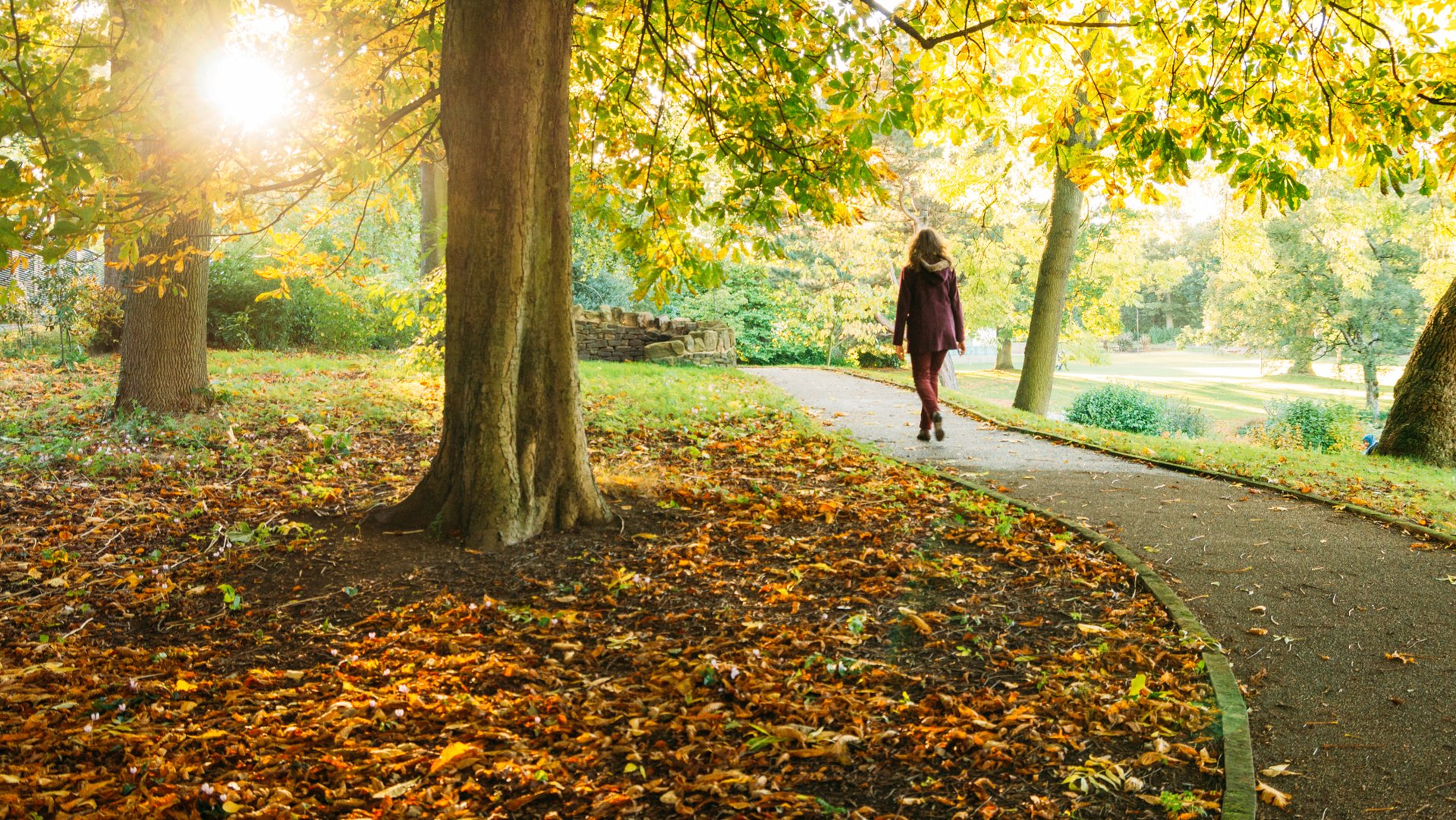 Una mujer camina en un parque en una soleada mañana de otoño
