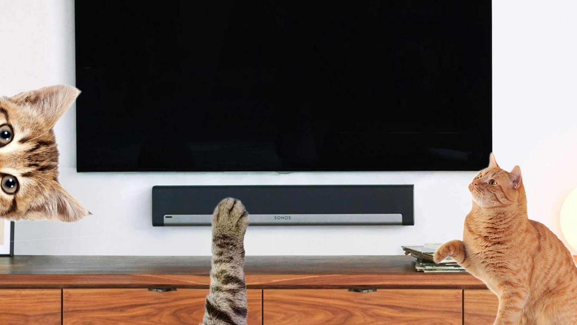 Sonos Playbar mit Katzen