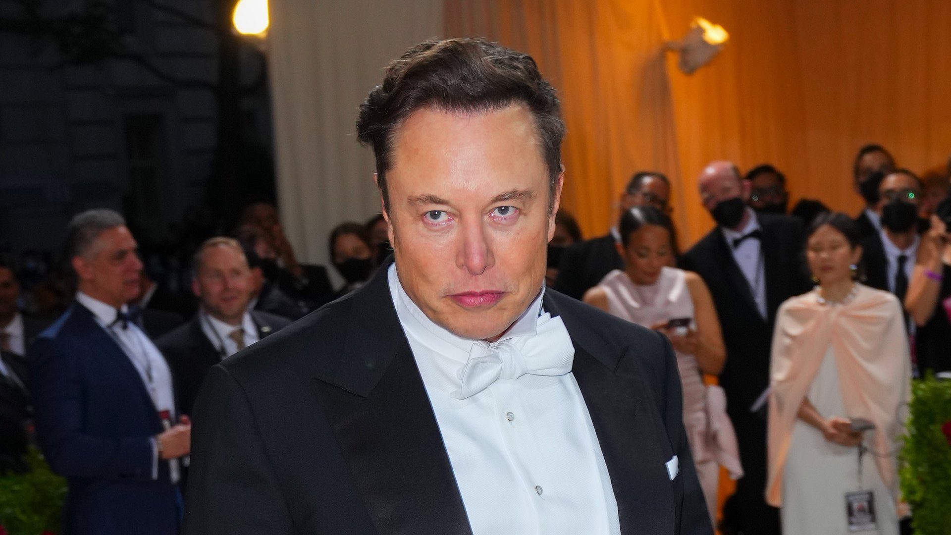 No Elon Musk no te pide que inviertas en Twitter