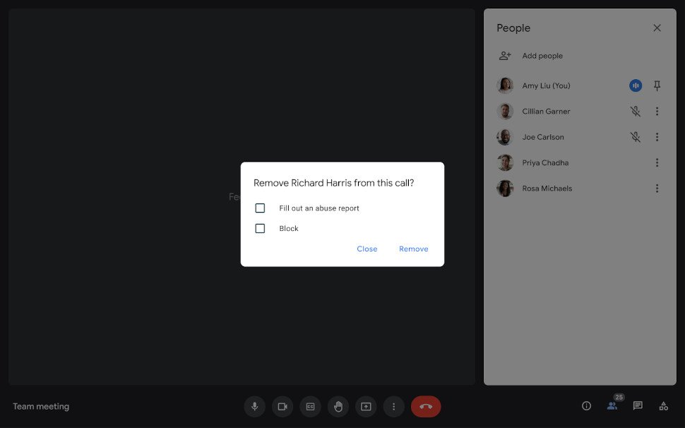 Google Meet blocks or removes users from the call
