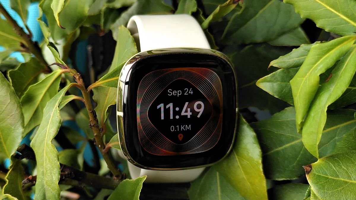 We just got our first look at Fitbit's upcoming fitness smartwatches